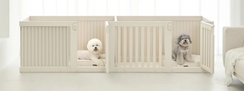 �Ƒ��̈��S�ƏΊ���T�|�[�g����yDoriDori�z�x�r�[�p�i
���T�C�g